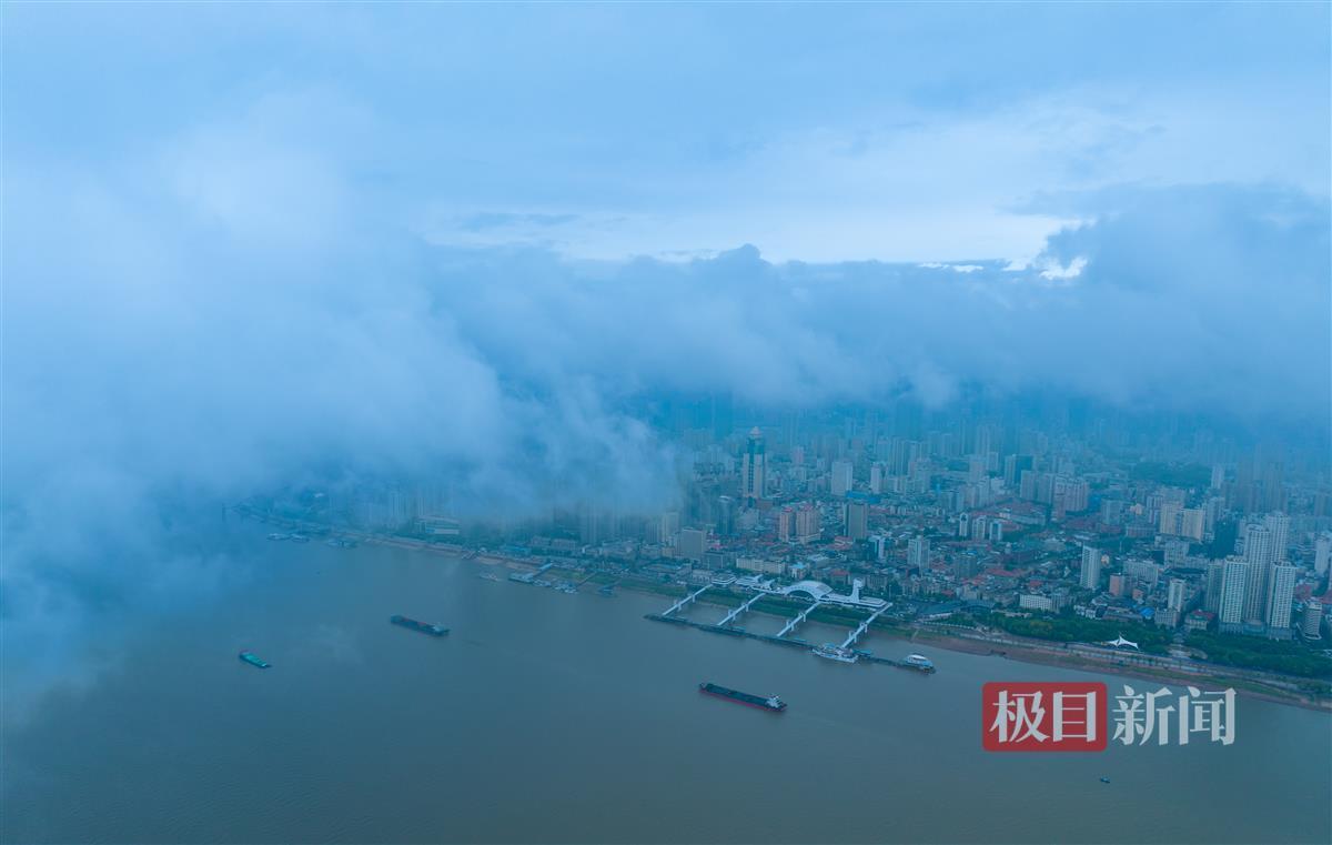 牌棋的网站